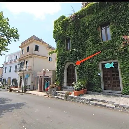 Rita's Paradise Apartman *